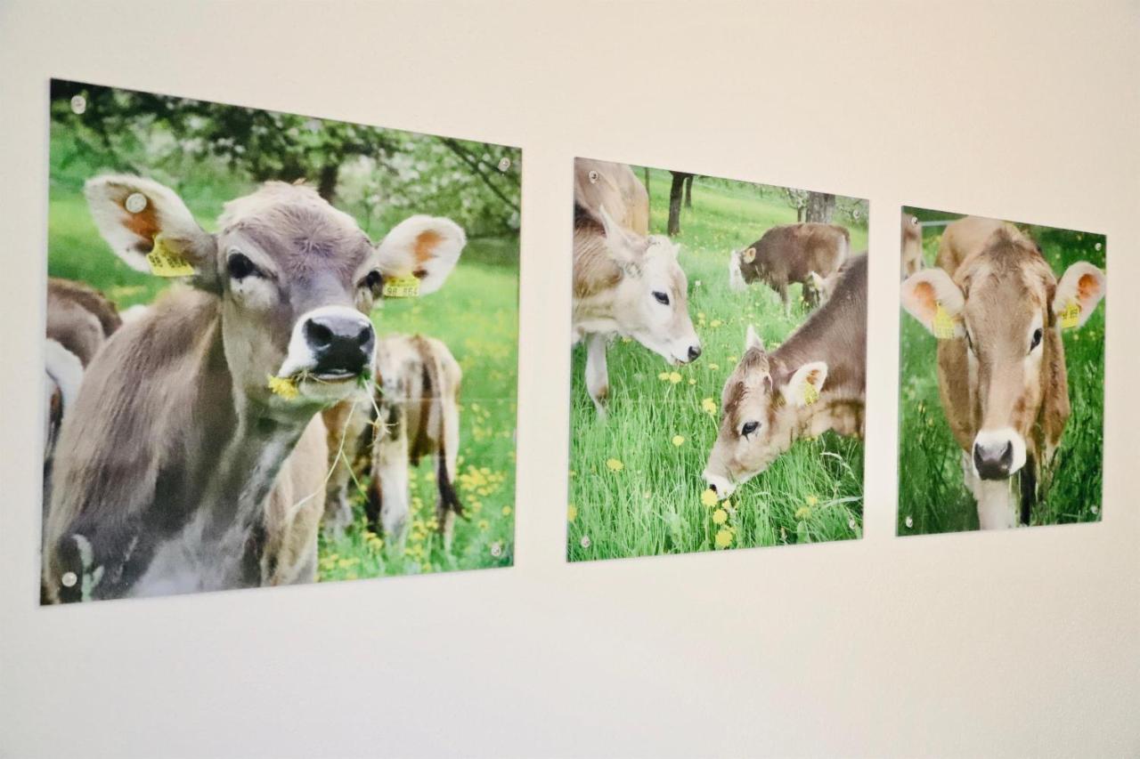 Ferienhof Koenig Neukirch  Exteriér fotografie